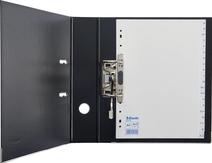 Produktbild Esselte Plastikregister Economy