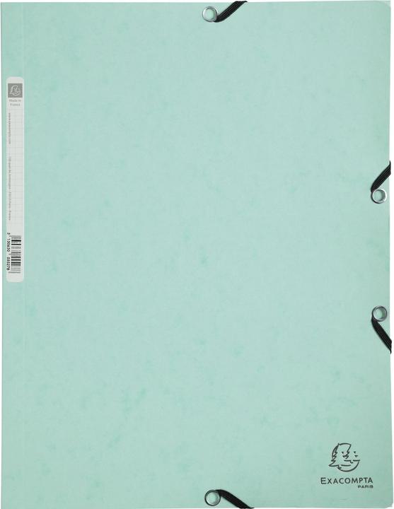 Actual product image Exacompta Folder (A4, 17x)