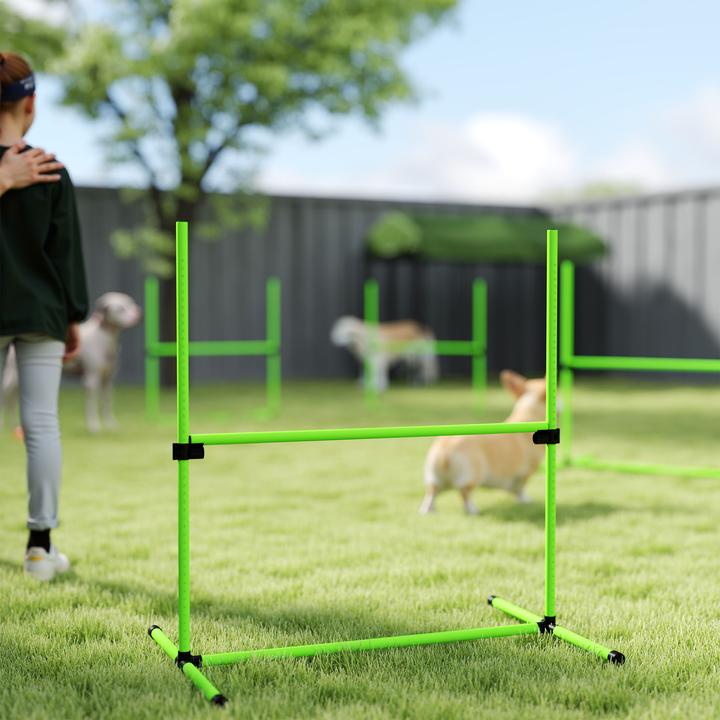 Immagine prodotto PawHut Agility Set Hunde Kunststoff Grün (Destrezza)