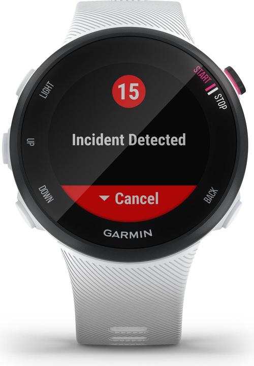 Actual product image Garmin Forerunner 45S (39.50 mm)