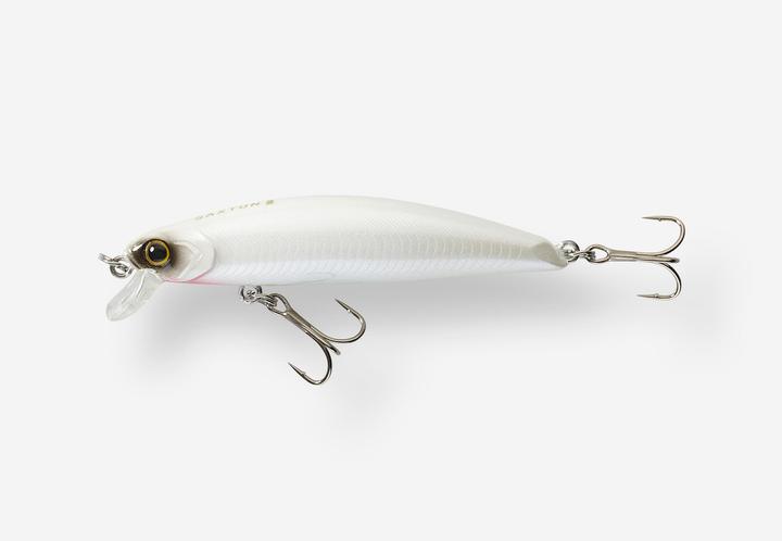 Caperlan Saxton (7.50 cm)