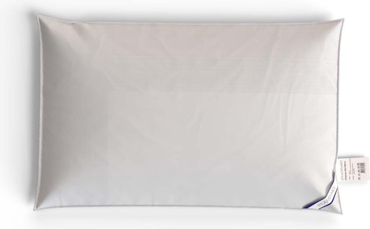 Image du produit Capistrano Coussin standard (65 x 100 cm)