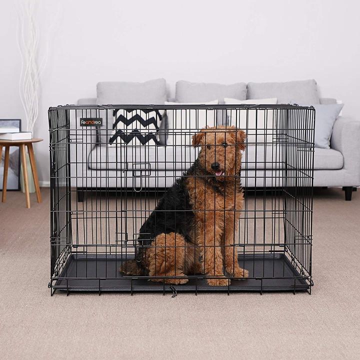 Actual product image Feandrea Doggo