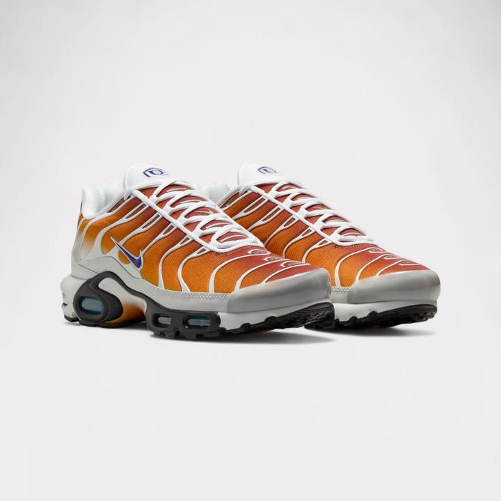 Image du produit Nike Air Max Plus One Block Down (43)