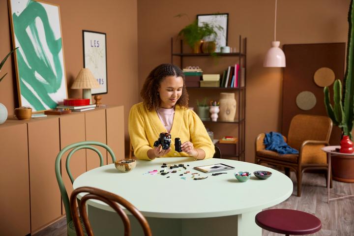 Produktbild LEGO Drachenzähmen Leicht Gemacht: Ohnezahn (LEGO Icons)