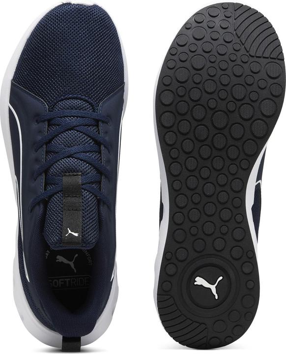 Image du produit Puma Softride Carson (48)