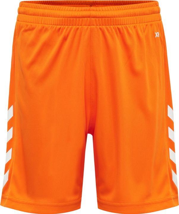 Tigre orange