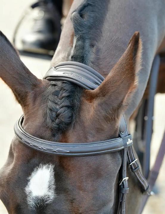 Immagine prodotto Collegiate Comfitec Opulux Fancy Stitch