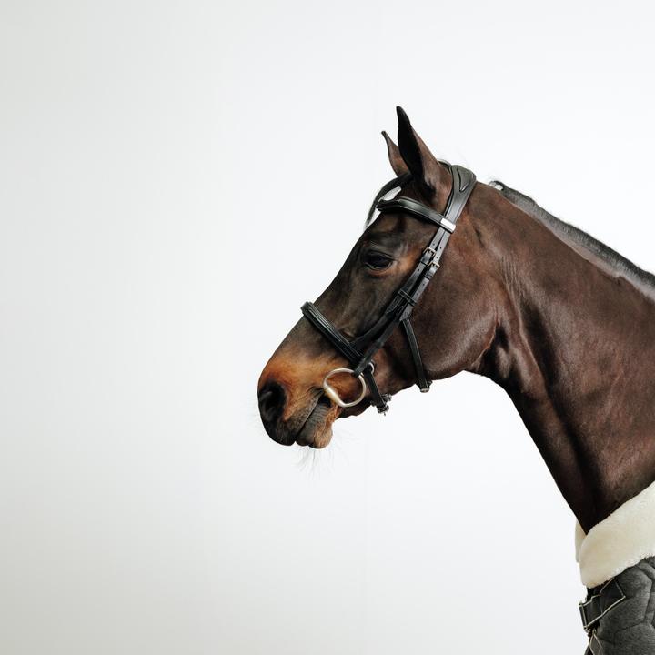 Immagine prodotto Fouganza Pelle di cavallo/pony Snaffle