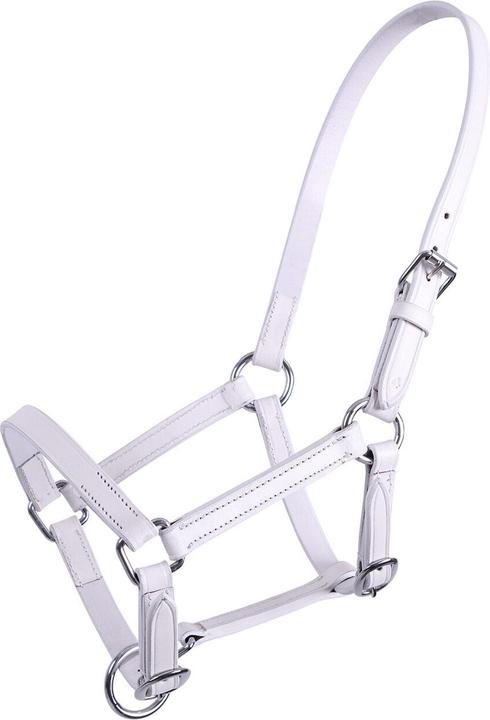 Immagine prodotto Qhp Chico