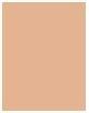 Produktbild Chanel Les Beiges Enlumineur Sunkissed (Sunkissed, Highlighter)
