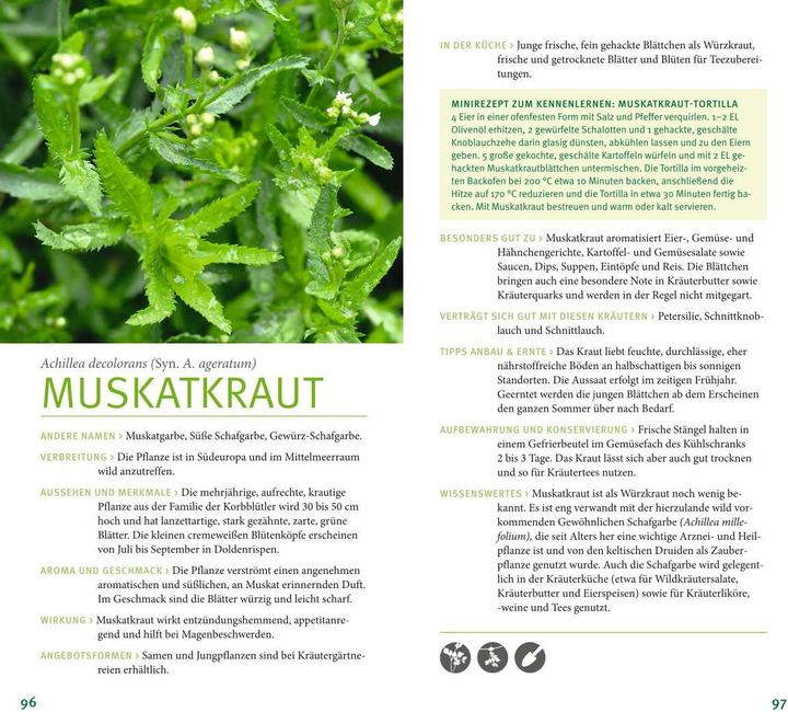 Produktbild Kräuter (Deutsch, Katrin Wittmann, 2020)
