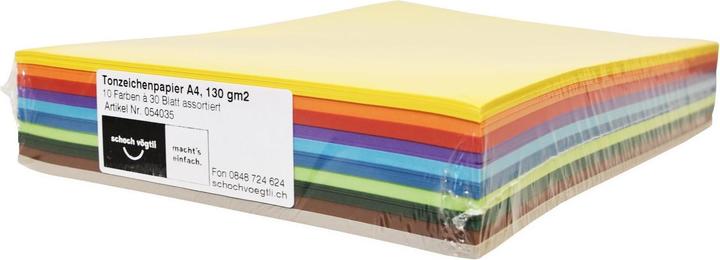 Scaldia Carta da disegno per argilla (130 g/m², 300 x)