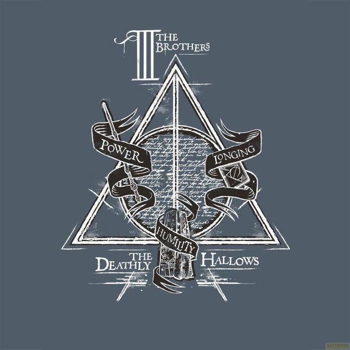 Produktbild ABYstyle HARRY POTTER - Tshirt Deathly Hallows man SS dark grey - new fit (M)