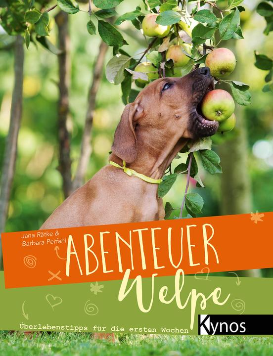 Produktbild Abenteuer Welpe (Deutsch, Barbara Perfahl, Jana Rätke, 2017)