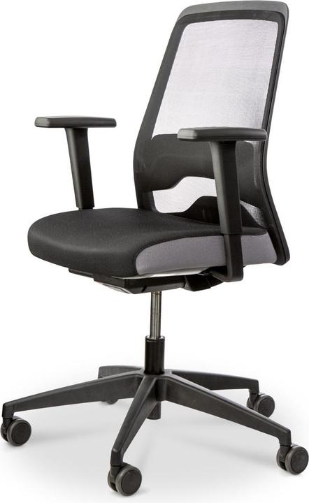 Interstuhl EVERYis1 Office chair, mesh back, black/grey (41 - 51.50 cm)