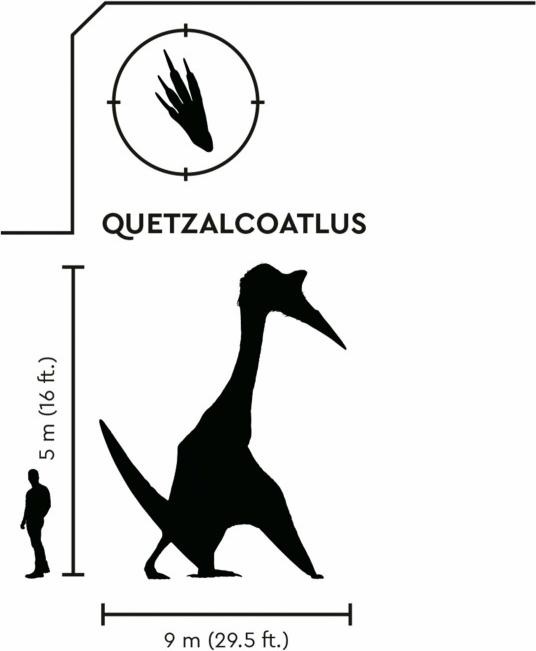 Produktbild LEGO Quetzalcoatlus: Flugzeug-Überfall (76947, LEGO Jurassic World)