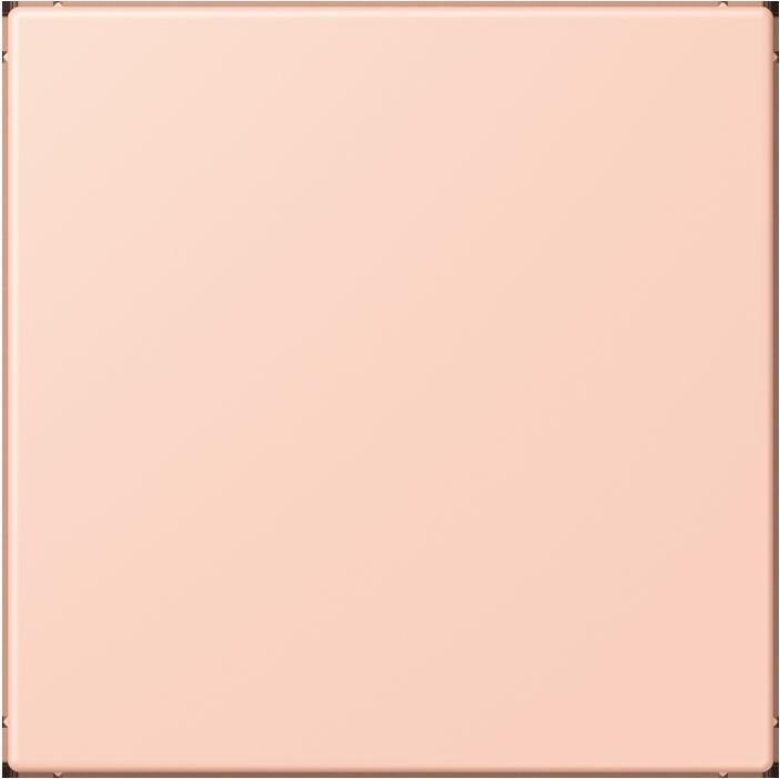 Produktbild JUNG Blindabdeckung