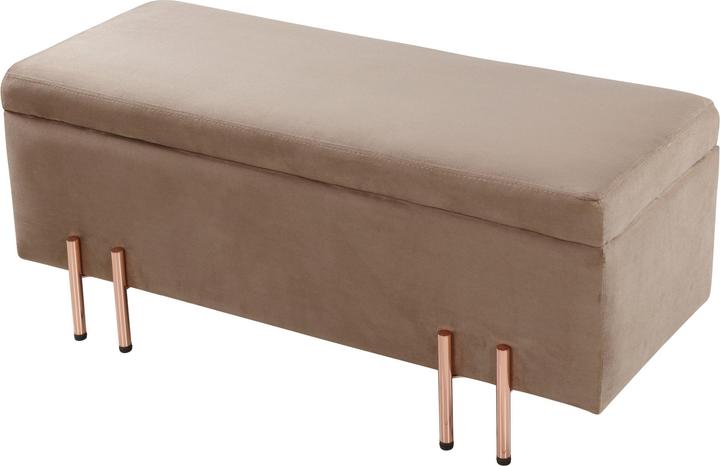 Produktbild En.Casa Sitztruhe Dals Samt 100x40x42 cm Braun (100 cm)