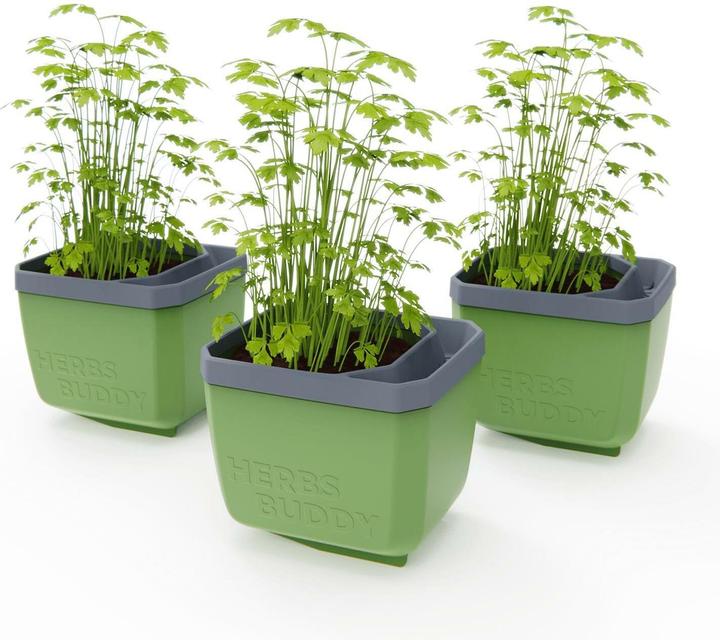 Actual product image Gusta Garden HERBS BUDDY Kräutertopf 3er Set Grün (49 x 15 x 14.50 cm)