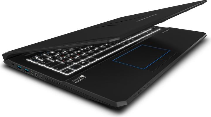 Actual product image Medion Erazer X6601 (15.60", 256 GB, 16 GB, CH, Intel Core i7-6700HQ)