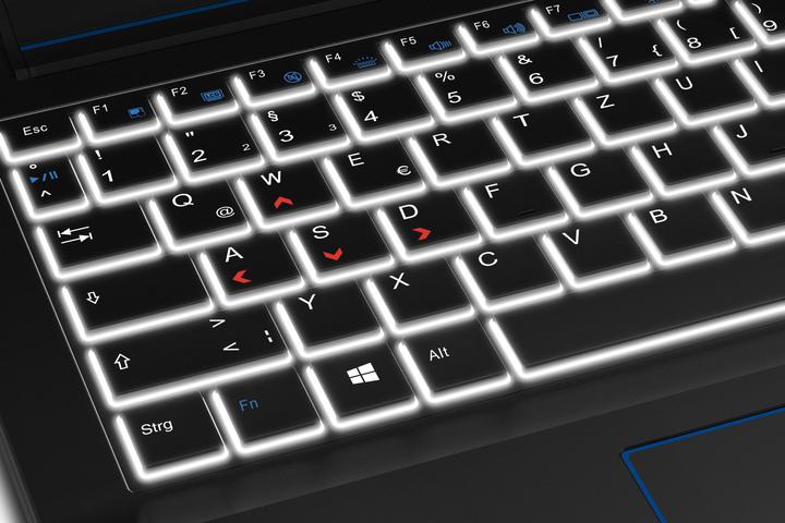 Actual product image Medion Erazer X6601 (15.60", 256 GB, 16 GB, CH, Intel Core i7-6700HQ)