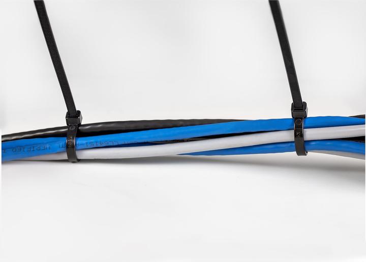 Image du produit StarTech 20cm(8") Cable Ties, 4mm(1/8") wide, 55mm(2-1/8") Bundle Diameter, 22kg(50lb) Te (200 mm, 100 pcs)