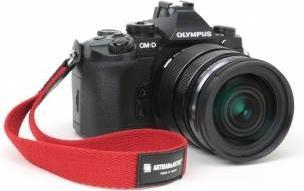 Productafbeelding Artisan & Artist ACAM 295 A (Handriem)