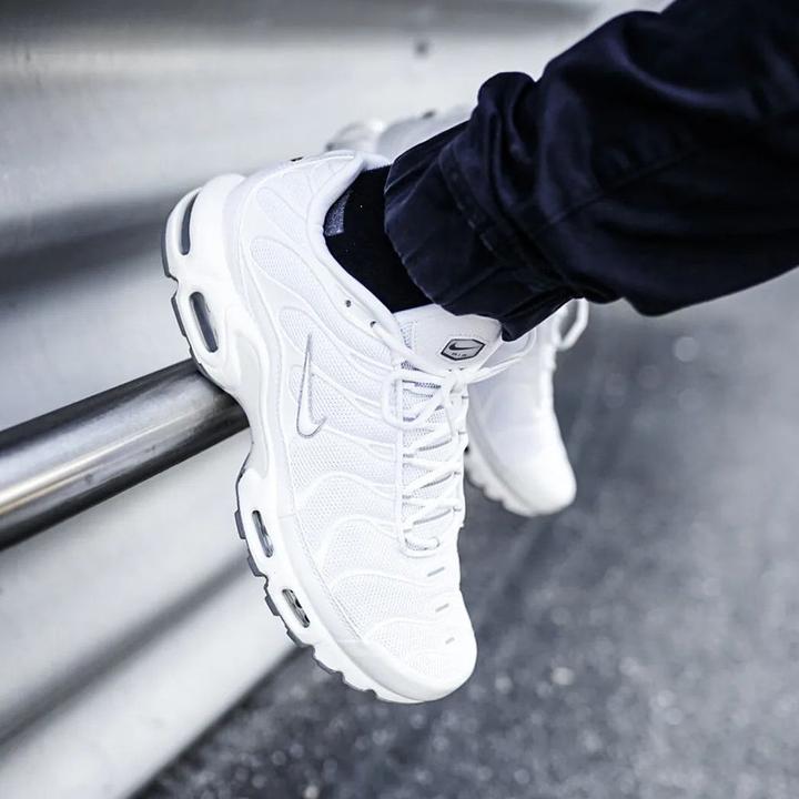Image du produit Nike Air Max Plus (40.5)