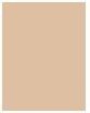 Produktbild Estée Lauder Pure Color Envy (Light Matte)