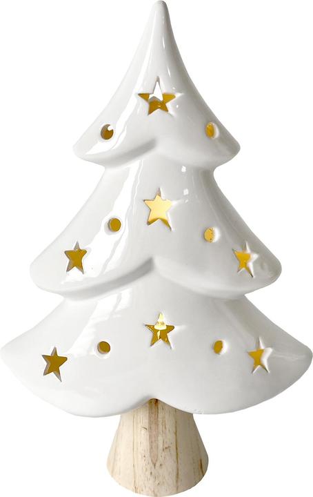 Produktbild HTI-Living LED Winterbaum mit Leuchtsternen