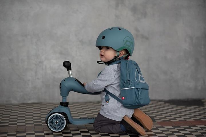 Actual product image Scoot and Ride Ash (45 - 51 cm)
