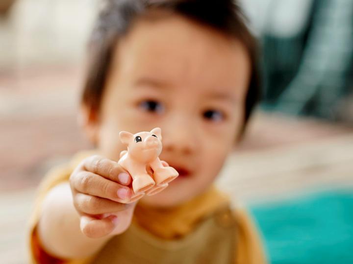 Image du produit LEGO Soins aux animaux à la ferme (10949)