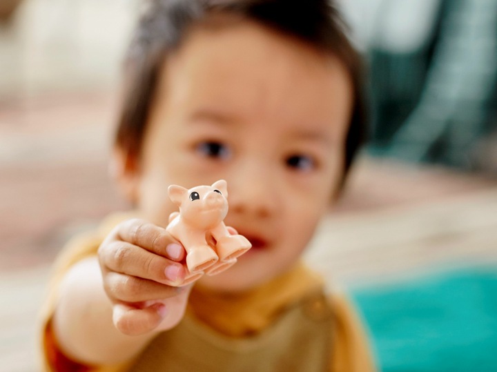 Immagine prodotto LEGO Cura degli animali nella fattoria (10949)