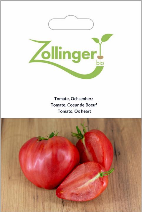 Blumen Tomate Simbol F1 - kaufen bei Galaxus - Galaxus