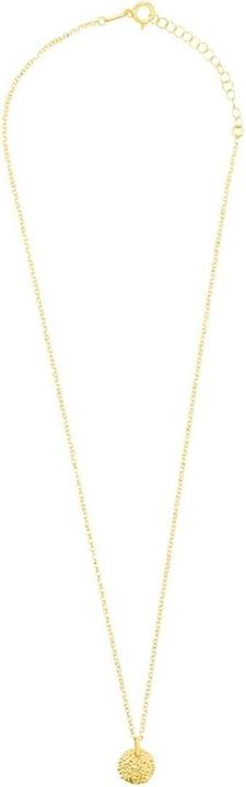 Immagine prodotto Radiant Collare RY000028 50 cm (Acciaio inossidabile)