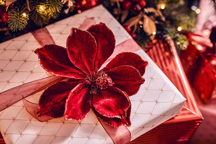 Produktbild Vivant Nostalgia (Geschenkband)