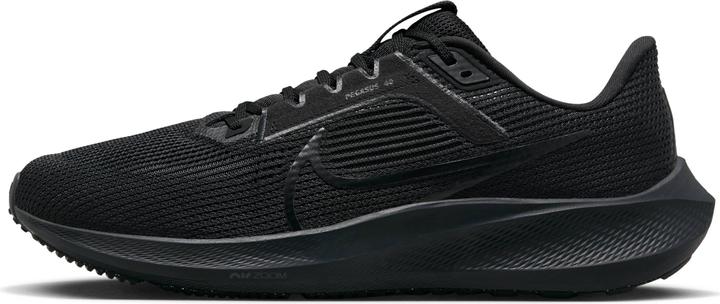 Image du produit Nike Pegasus 40 (47.5)