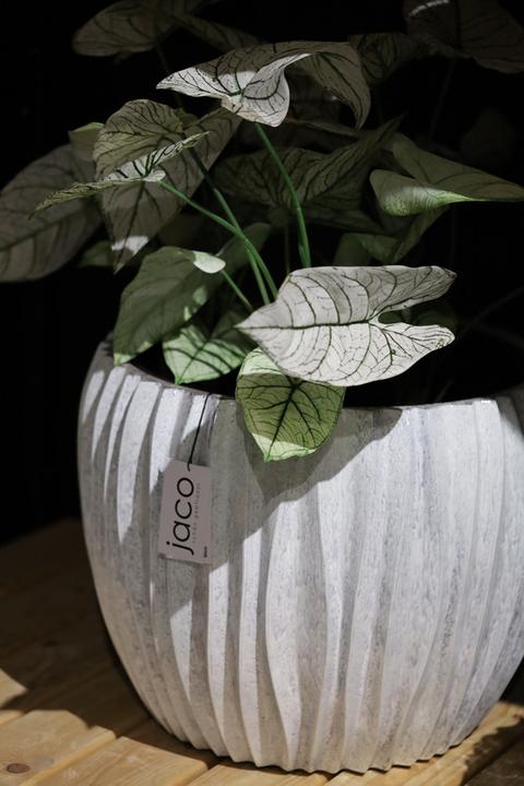 Produktbild Jaco Lite Glow Laudo mit Plastikeinsatz (54 x 42 cm)