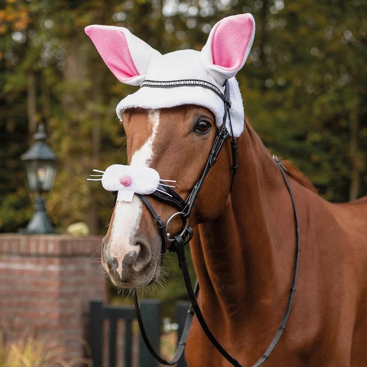 Actual product image Qhp Easter bunny ear hat for horse