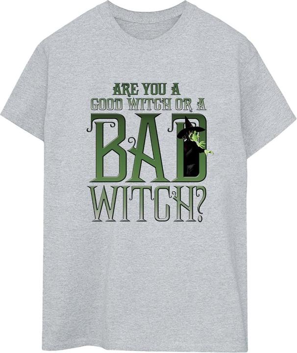 Actual product image Wizard Of Oz Womens/Ladies Wicked Bad Witch Boyfriend T-Shirt (L)