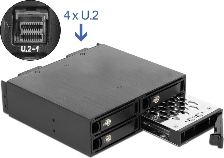 Actual product image Delock 5.25? removable frame for 4 x 2.5? U.2 NVMe SSD with lockable trays