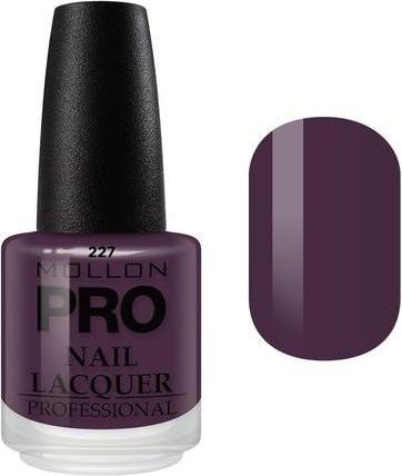 Actual product image Mollon Pro Mollonpro Nail Polish 1 Unit