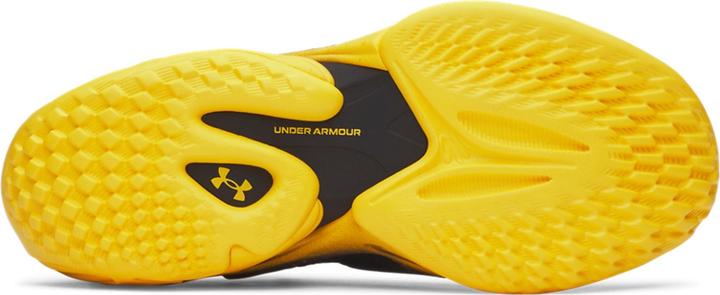 Image du produit Under Armour Curry 13 (46)