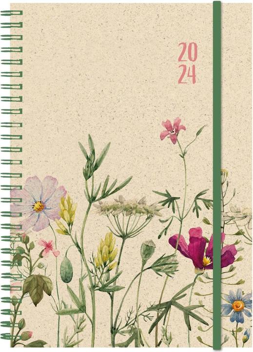 Produktbild Simplex Graspapier (14 x 21 cm, 1 Woche / 2 Seiten)