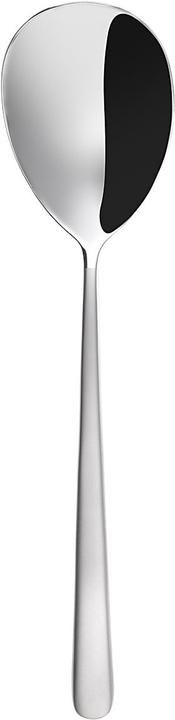 Actual product image Sola Alos (1 Piece, Scoops)