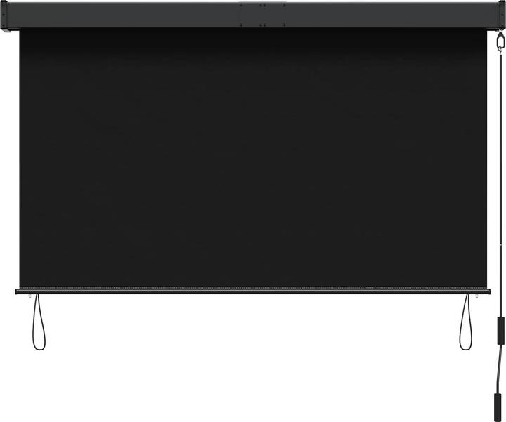 Produktbild vidaXL Outdoor Rollo (80 x 250 cm)