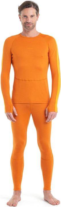 Actual product image Icebreaker ZoneKnit 260 L/S Crewe (M)