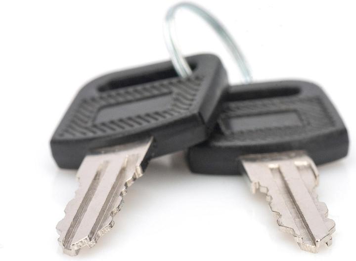 Produktbild Digitus Schlüssel für Wandgehäuse, 2 Stück 10", 19" SOHO, 19" Dynamic