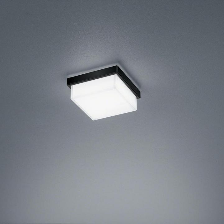 Actual product image Helestra Cosi (610 lm)